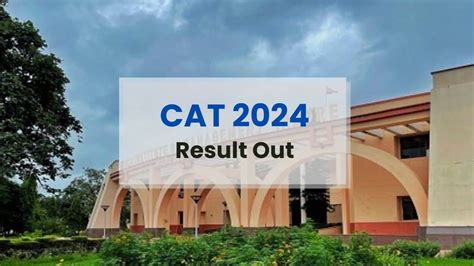 csu cat result 2024